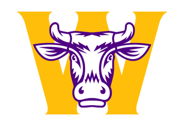 Purple Cow Baseball Camps